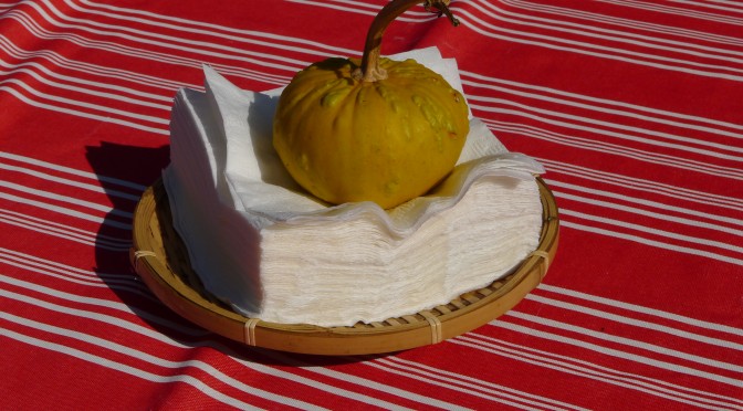 Just what we need at Synchronicity Farm