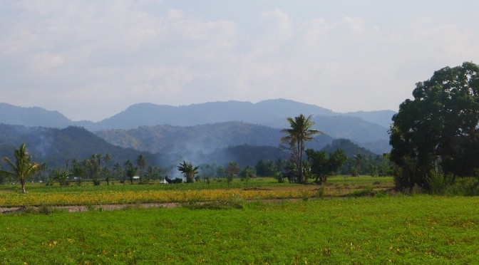 Remarkable encounters on Sumbawa