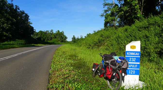Into the jungle: Hills, Plantations and an elephant
