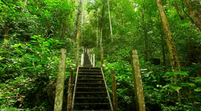 On friends and hiking in Sarawak’s National Parks
