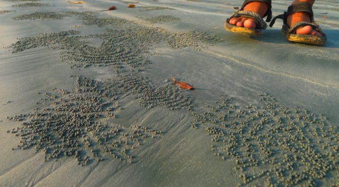Island days on Koh Payam