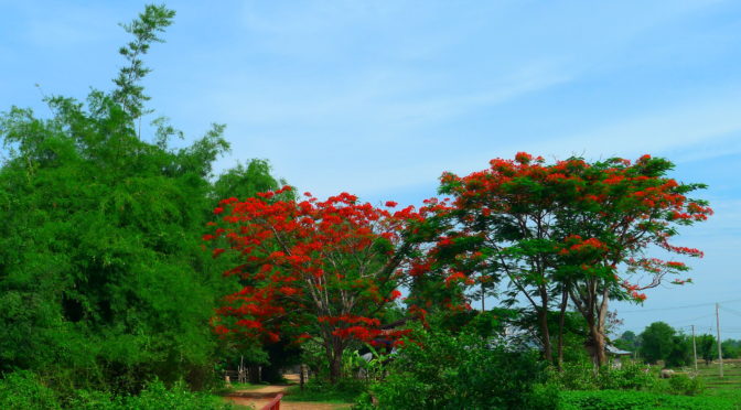Along the Mekong: Laos – Lots of beauty and some travel fatigue